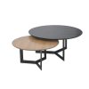 Santana Nesting Coffee Table
